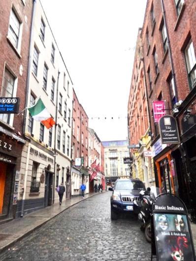 Spacious Room In Temple Bar Dublín Exterior foto